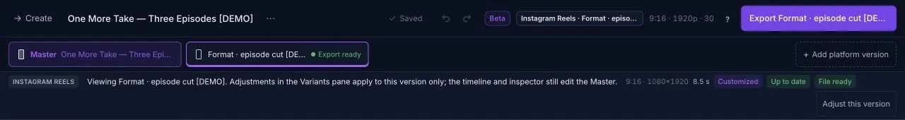 Actual platform version: customized, up to date, file ready. Master editing scope is retained.